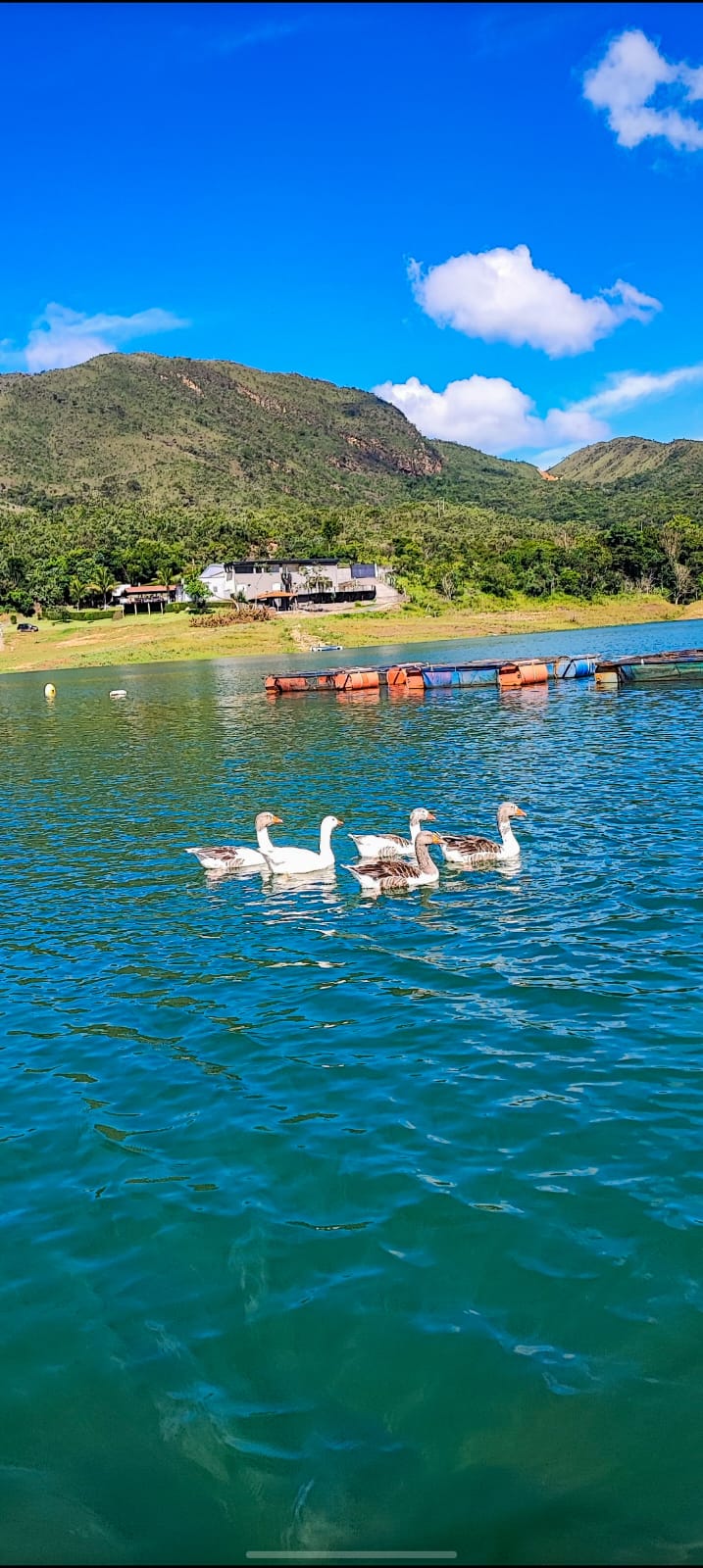 Lago de Furnas
